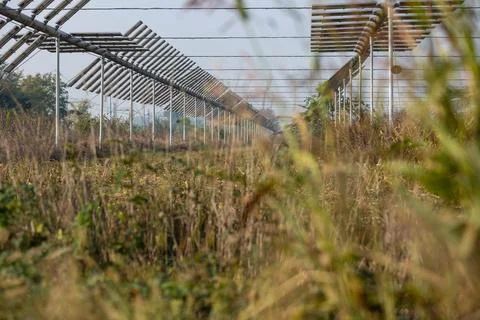 Agrivoltaics Foto stock