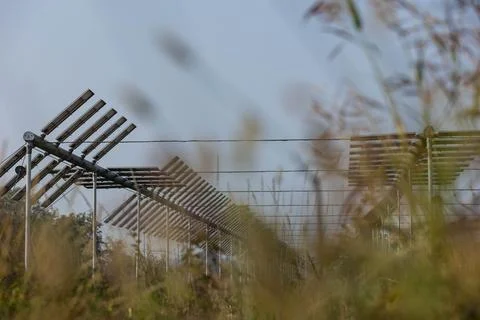 Agrivoltaics Foto stock