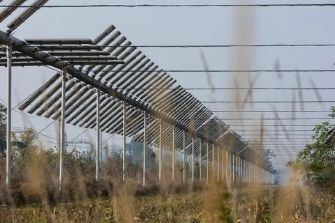 Agrivoltaics Stock Photos