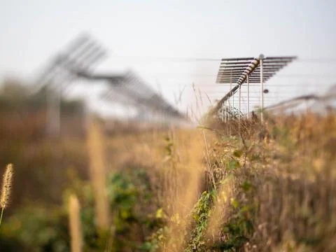 Agrivoltaics Stock Photos