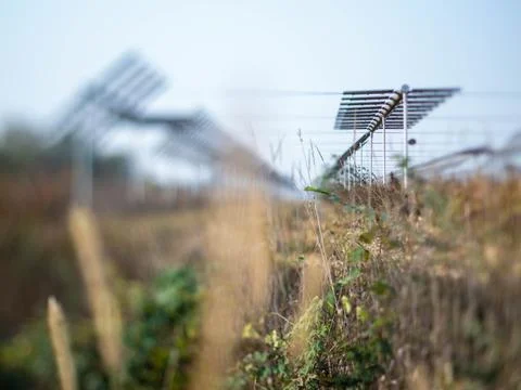 Agrivoltaics Stock Photos