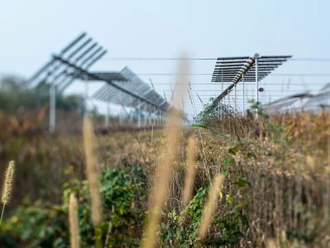 Agrivoltaics Stock Photos