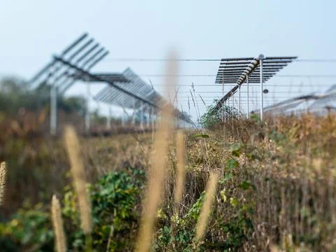 Agrivoltaics Stock Photos