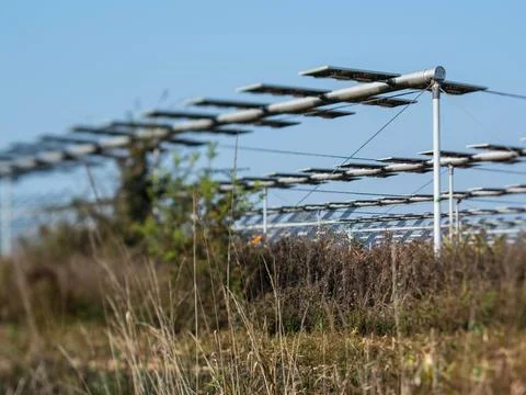 Agrivoltaics Stock Photos