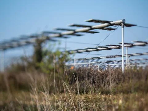 Agrivoltaics Foto stock