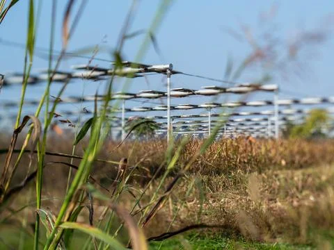 Agrivoltaics Stock Photos