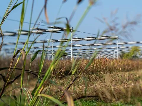 Agrivoltaics Stock Photos