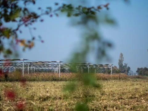 Agrivoltaics Stock Photos