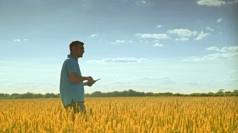 Agro business worker touch ipad in harvest field. Man using tablet in wheat Stock Footage 85054618