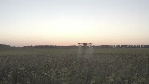 Agro drone works on the field. Field treatment with chemicals. Stock Footage 188816853