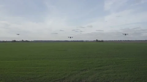 Agro drone works on the field. Field treatment with chemicals. Stock Footage 188824811