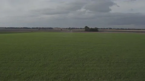 Agro drone works on the field. Field treatment with chemicals. Stock Footage 188825420