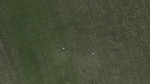 Agro drone works on the field. Field treatment with chemicals. Vidéo 188826425