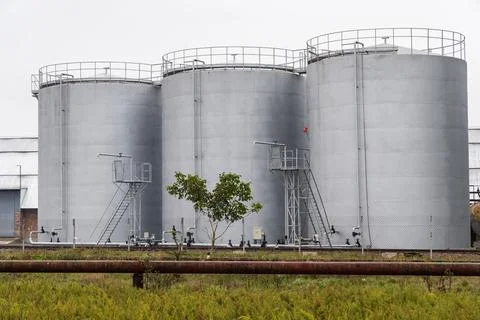 The agro-processing facility showcases large silos designed for drying. 库存照片