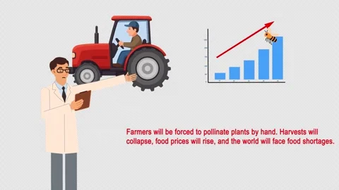Agroculture in crisis(Bee project) Stock Footage 323448296