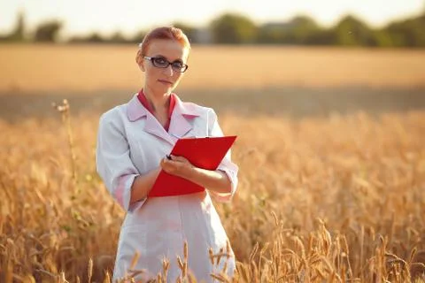 Agronom Stock Photos