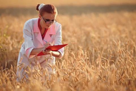 Agronom Stock Photos