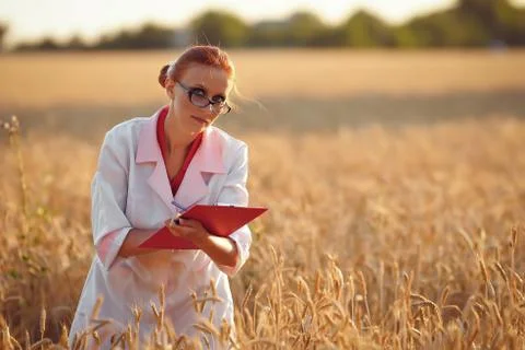 Agronom Stock Photos