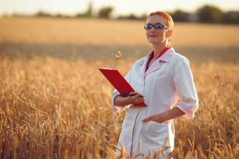 Agronom Stock Photos