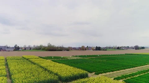 Agronomical test site flyover Stock Footage 108037415