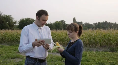Agronomist and farmer looking at corn quality. They use the tablet. Stock Footage 68365281