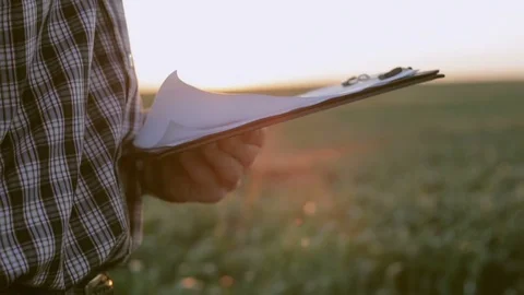 Agronomist on a background of green fields writes something in a notebook at 스톡 동영상 77144502