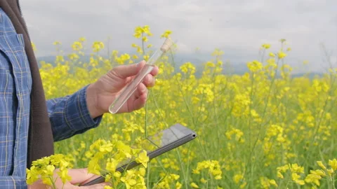 Agronomist with biofuel sample and tablet, profile copy space 4K 動画素材 336281065