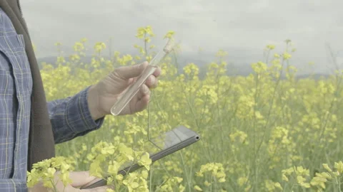 Agronomist with biofuel sample, profile copy space ungraded flat 動画素材 336281001