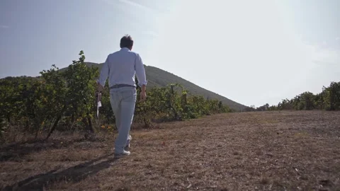 Agronomist censor moves between rows of grape terroir and assesses the degree Stock Footage 270064270