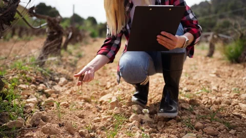 Agronomist conducting soil analysis and taking notes in field. Land quality.. Stock Footage 332855924