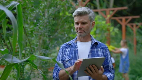 Agronomist Controls the Growth of Plants Using Tablet. Male Worker Standing Stock Footage 236710063