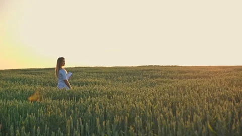 Agronomist with document in hand against the background of a green wheat field Stock Footage 92756477