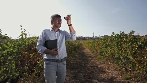 Agronomist with folder in his hands stands between rows of vines Stock Footage 270065095