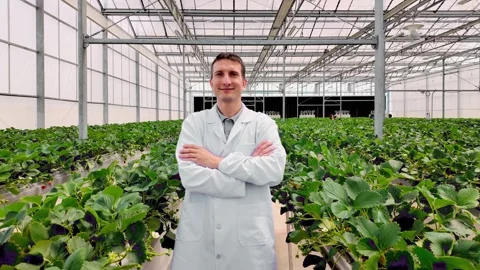 Agronomist in a lab coat uses a tablet to inspect strawberries growing Video stock 326727002