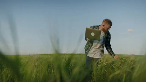 An agronomist with a laptop while checking the yield of the field. Food crisis Stock Footage 234266153