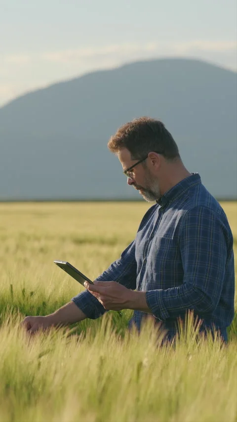 Agronomist logging crop data on tablet in green barley close up Stock Footage 337123188