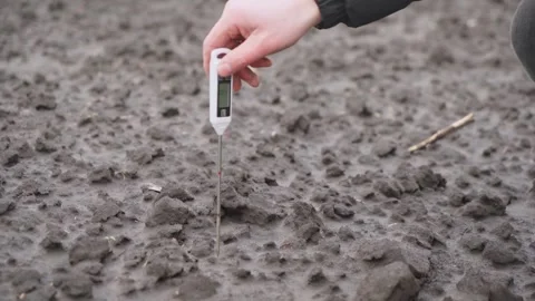 An agronomist measures the temperature of the soil. Close-up. Stock Footage 241738710