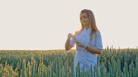 Agronomist or a student with document in hand writes results of her experiment Stock Footage 94119545