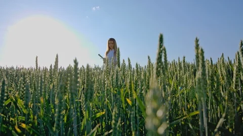 Agronomist or a student with document in hand writes results of her experiment 스톡 동영상 95391781