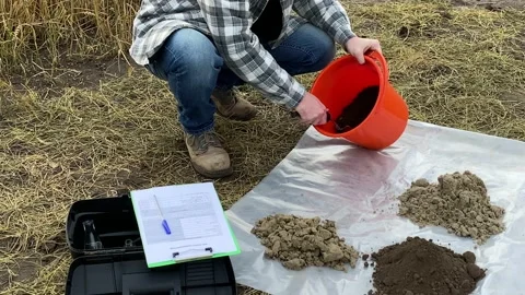 Agronomist pouring soil sample from bucket on plastic underlay outdoor Stock Footage 202240364