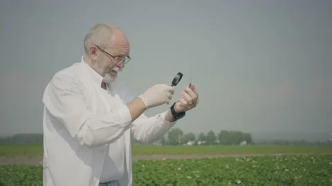 Agronomist researching pests Stock Footage 136714172