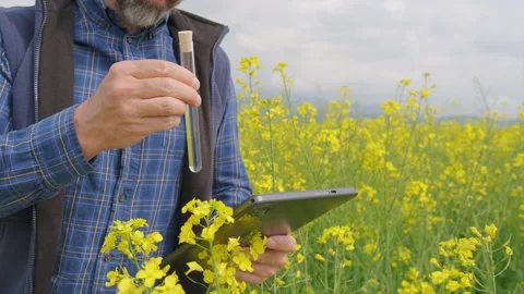 Agronomist with tablet inspecting biofuel test tube in canola field, 4K Stock Footage 336281062