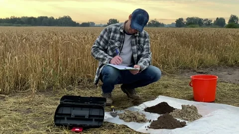 Agronomist taking notes in sampling information sheet at field at dawn Stock Footage 202240317