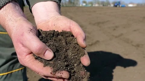Agronomist testing a quality of soil before planting seeds, slow motion Stock Footage 146033237