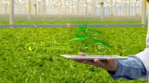 Agronomist using tablet for visualisation a plant in huge industrial building Stock Footage 150018717
