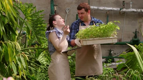 Agronomist woman with tablet is talking with man gardener and conducts Stock Footage 107652553