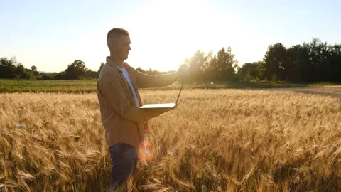 Agronomist working with digital tablet pc. Farmer examining cereal hybrid crop Stock Footage 201804361