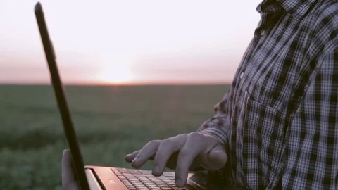 Agronomist working with a laptop in the green field at sunset Stock Footage