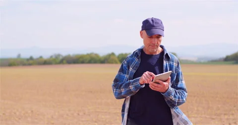 Agronomist Working on Tablet at Young Corn Field Stock Footage 132800502