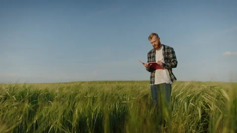 The agronomist writes down the future productivity of the field in a notebook Stock Footage 234265926